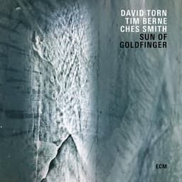 Sun Of Goldfinger - David Torn