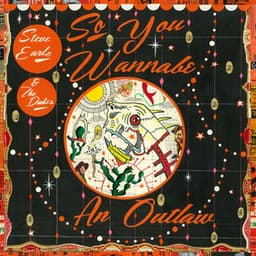 So You Wannabe an Outlaw - Steve Earle