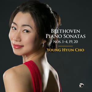 Beethoven: Piano Sonatas Nos. 1-4, 19, 20 - Ludwig van Beethoven