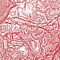 Materializing Defective Fascia - Sissy Spacek