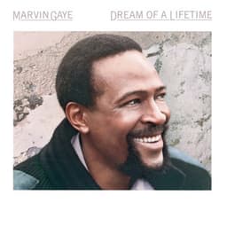 Dream Of A Lifetime - Marvin Gaye
