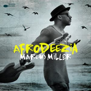 Afrodeezia - Marcus Miller