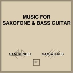 Music for Saxofone & Bass Guitar - Sam Gendel
