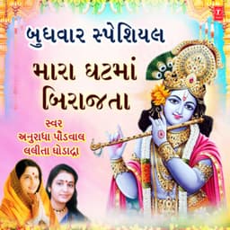 Budhwar Special - Mara Ghat Ma Birajata - Anuradha Paudwal