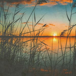 Classical Escapes - Johann Sebastian Bach