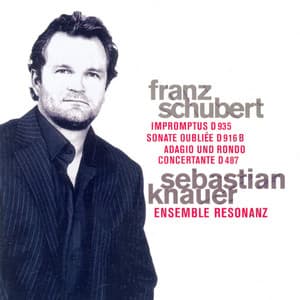 Franz Schubert: 4 Impromptus / Piano piece in C Major / Adagio and Rondo Concertante - Franz Schubert
