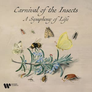Zzzz. Carnival of the Insects - A Symphony for Life - Wolfgang Amadeus Mozart