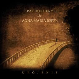 Upojenie - Pat Metheny