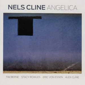 The Enja Heritage Collection: Angelica - Nels Cline