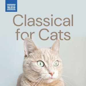 Classical for Cats - Wolfgang Amadeus Mozart