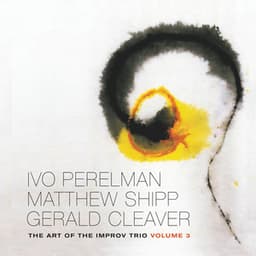 The Art of the Improv Trio, Vol. 3 - Ivo Perelman