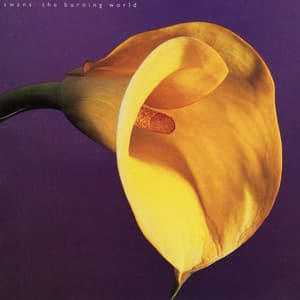 The Burning World - Swans