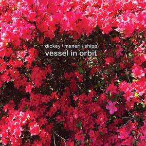 Vessel in Orbit - Whit Dickey