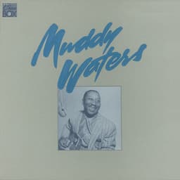 The Chess Box - Muddy Waters