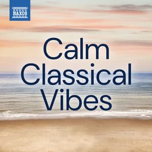 Calm Classical Vibes - Erik Satie