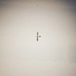 Endling - Qasim Naqvi