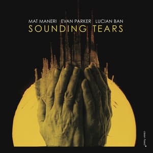 Sounding Tears - Mat Maneri