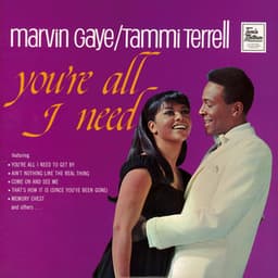 You're All I Need - Marvin Gaye