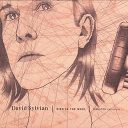 Died In The Wool - Manafon Variations - David Sylvian