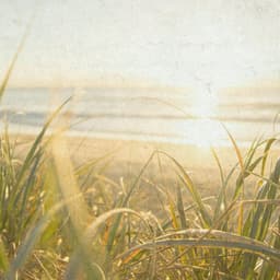 Classical Serenity - Johann Sebastian Bach