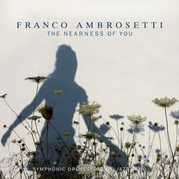 The Nearness of You - Franco Ambrosetti