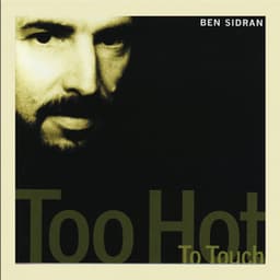 Too Hot to Touch - Ben Sidran