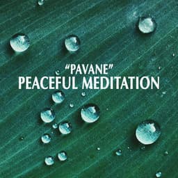 "Pavane" - Peaceful Meditation - Johann Sebastian Bach
