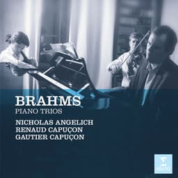 Brahms: Piano Trios - Johannes Brahms