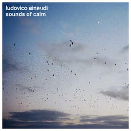 Sounds of Calm - Ludovico Einaudi