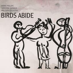 Birds Abide - Barre Phillips