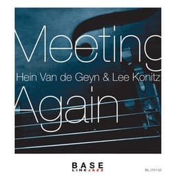 Meeting Again - Hein Van De Geyn