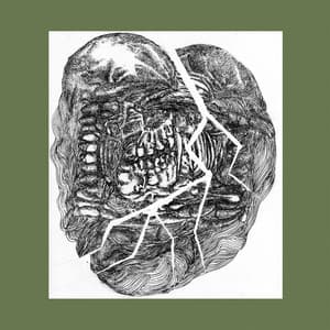 No Answer: Lower Floors - Wolf Eyes