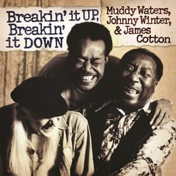 Breakin' It Up, Breakin' It Down - Muddy Waters