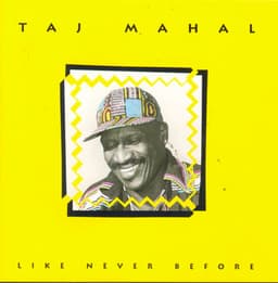 Like Never Before - Taj Mahal