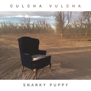 Culcha Vulcha - Snarky Puppy