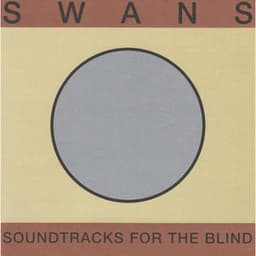 Soundtracks for the Blind - Swans
