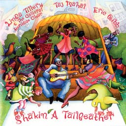 Shakin' A Tailfeather - Taj Mahal
