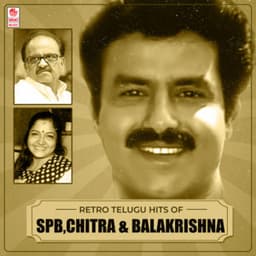 Retro Telugu Hits Of Spb, Chitra & Balakrishna - S. P. Balasubrahmanyam