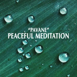 "Pavane" - Peaceful Meditation - Johann Sebastian Bach