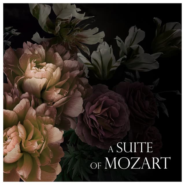 A Suite of Mozart - Wolfgang Amadeus Mozart