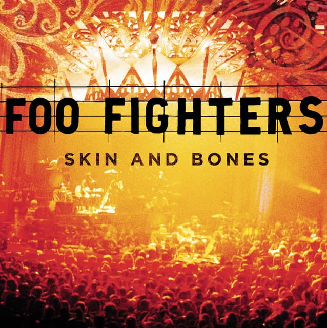 Skin And Bones - Foo Fighters