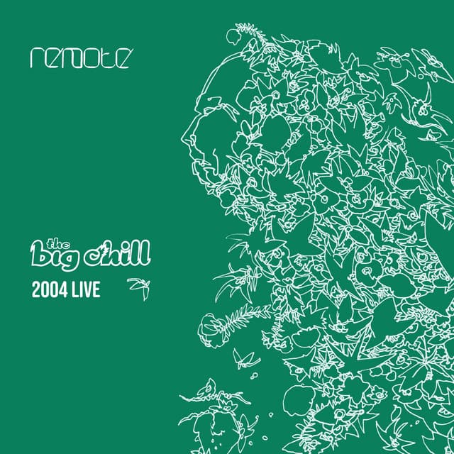 Remote: The Big Chill 2004 Live - Roger Eno