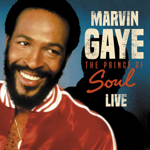 The Prince of Soul - Marvin Gaye