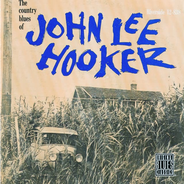 The Country Blues Of John Lee Hooker - John Lee Hooker
