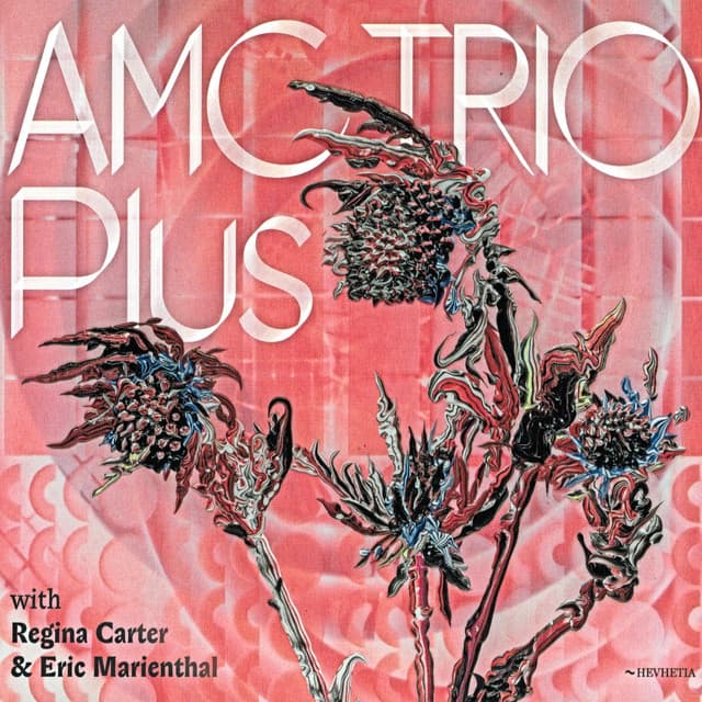 AMC Trio Plus - AMC Trio