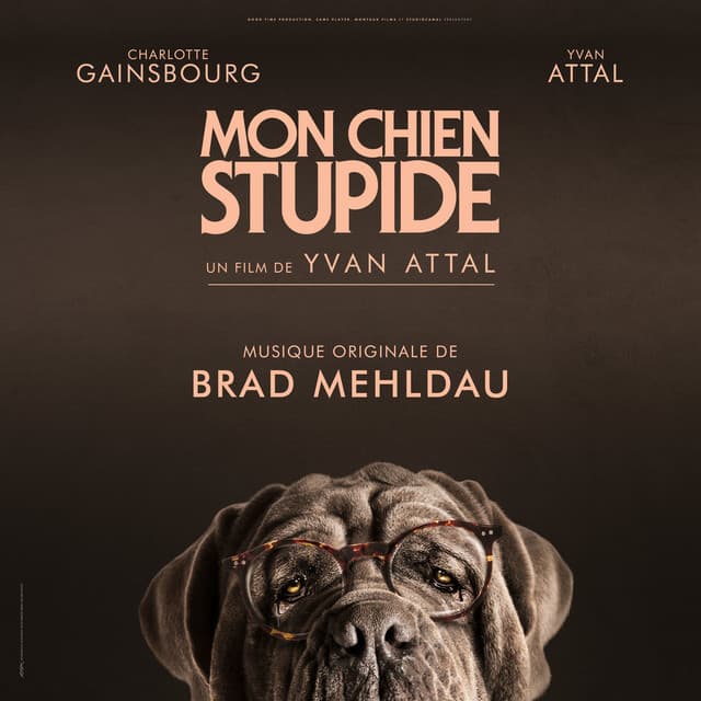 Mon chien Stupide - Brad Mehldau