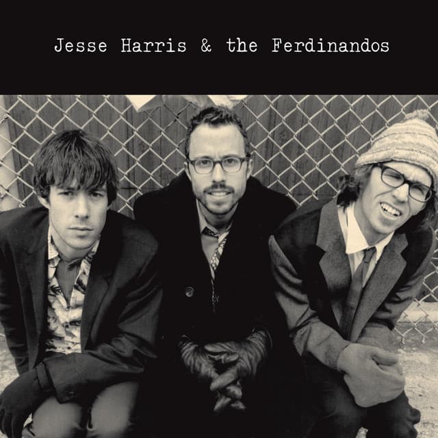 Jesse Harris & The Ferdinandos - Jesse Harris