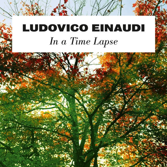 In A Time Lapse - Ludovico Einaudi