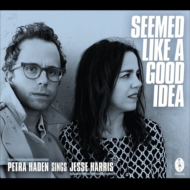 Seemed Like a Good Idea - Petra Haden Sings Jesse Harris - Petra Haden