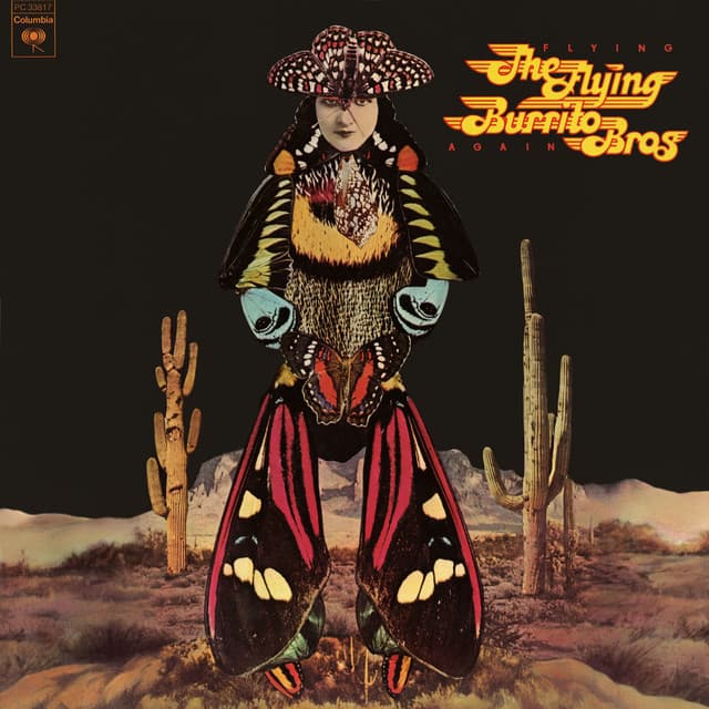 Flying Again - The Flying Burrito Brothers